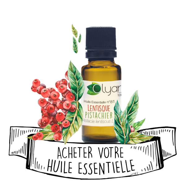 Huile Essentielle de Lentisque Pistachier : le Guide Complet par Olyaris